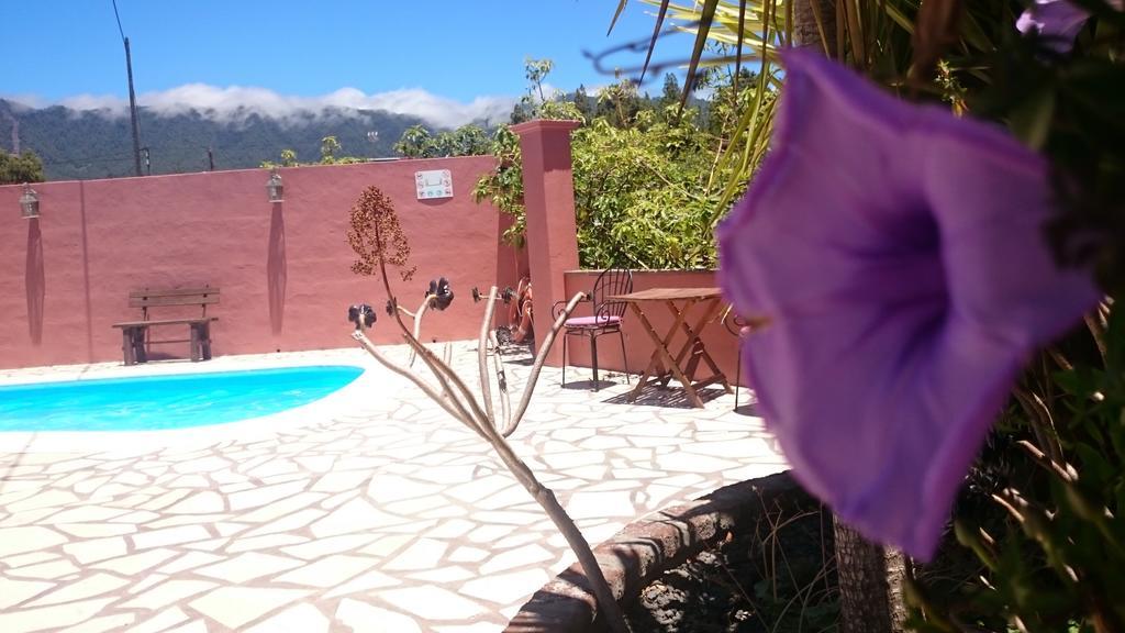 Casitas La Montanita Guest House El Paso Ngoại thất bức ảnh