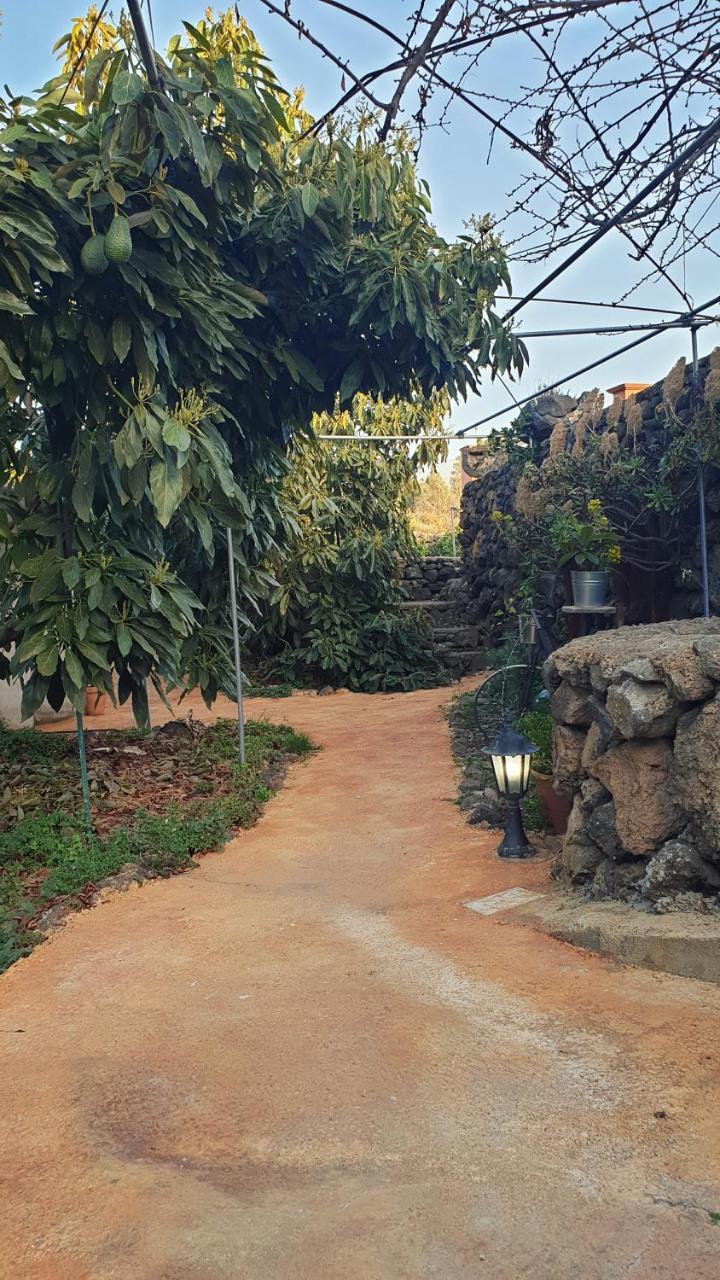 Casitas La Montanita Guest House El Paso Ngoại thất bức ảnh